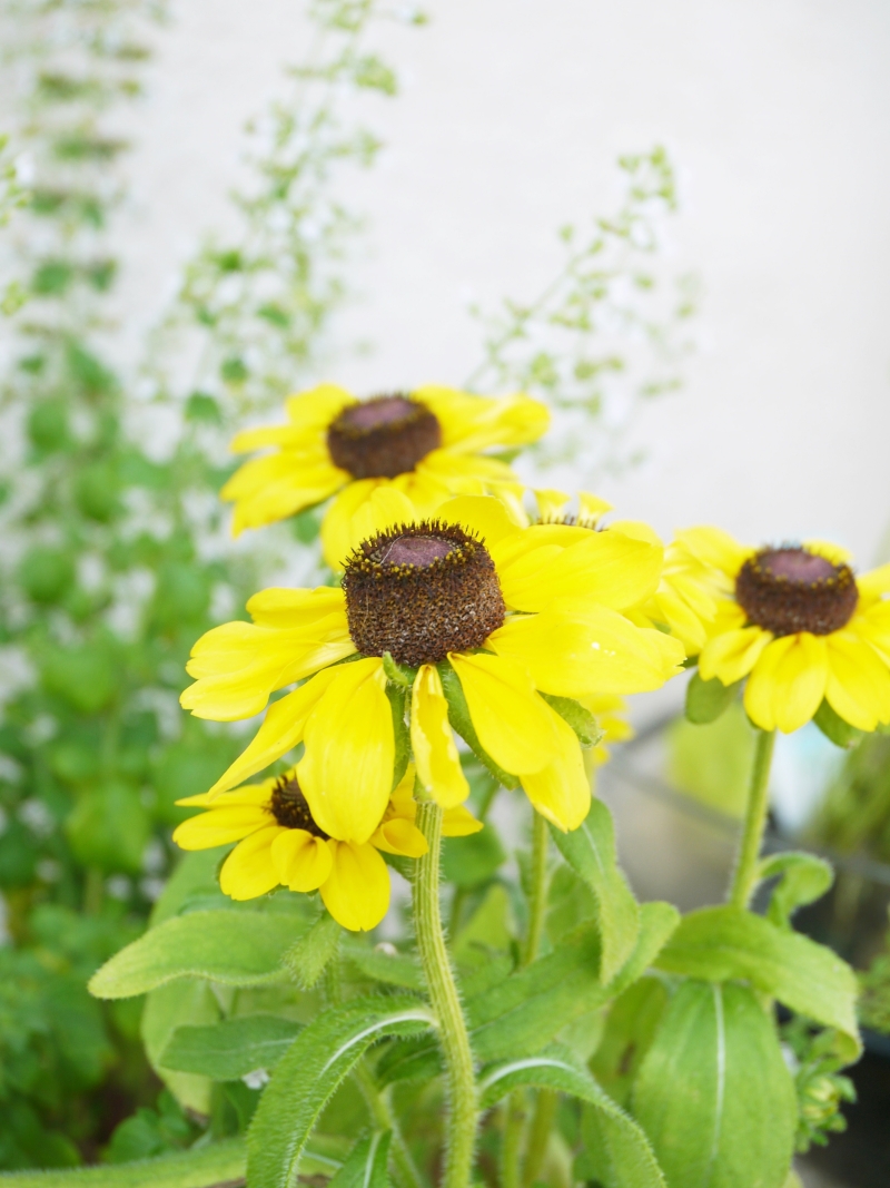 *夏休み*_f0361692_11304859.jpg
