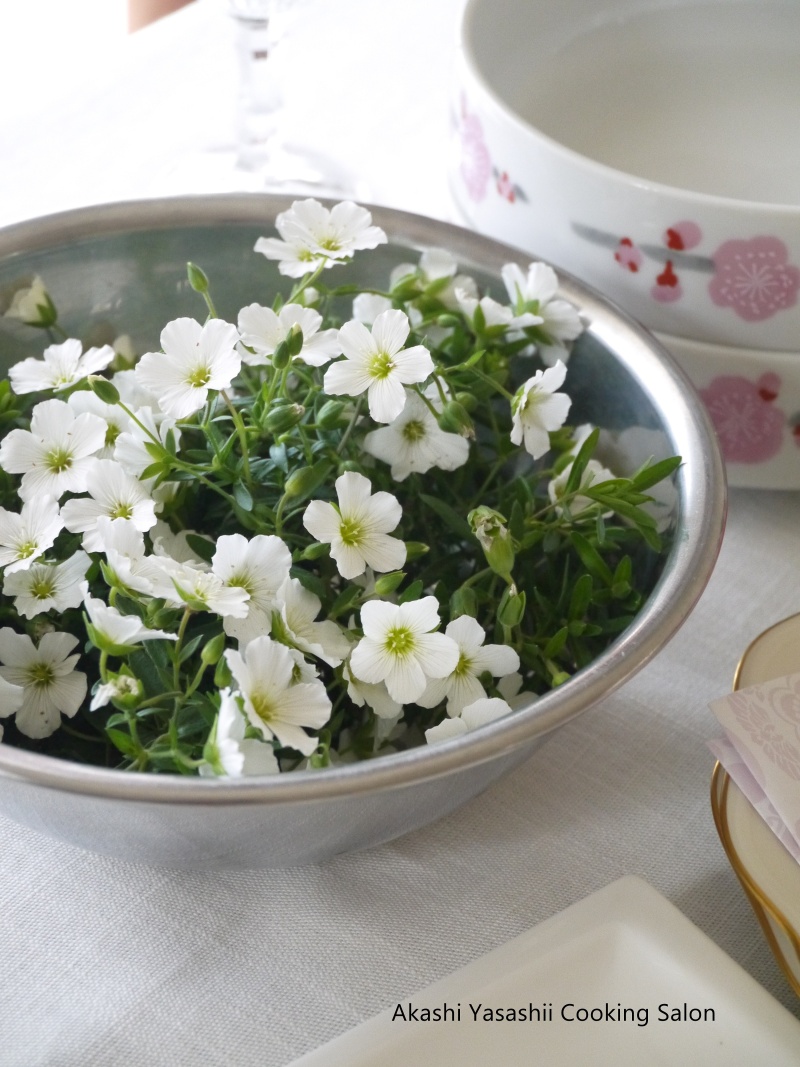 おべんとうレッスンのお花_f0361692_11382744.jpg