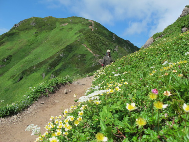 北海道山旅③　花の百名山富良野岳を登る　2016.7.26（火）_a0166196_1542446.jpg