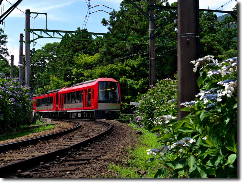 箱根あじさい電車散策・・・７月_c0124497_1431209.jpg