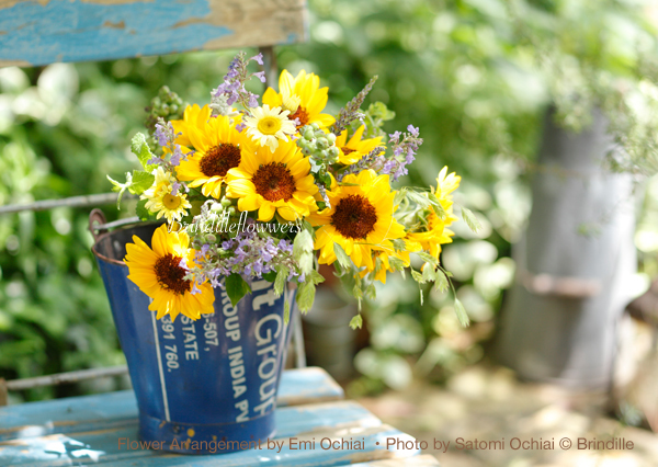 8月の花 Brindille Flower カレンダー2016より_b0138802_20365349.jpg