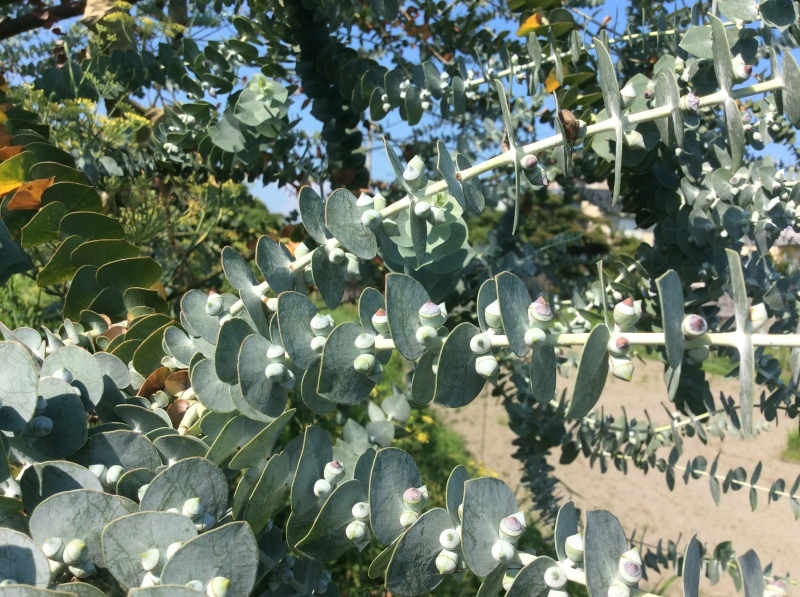 b0220002_18103326.jpeg