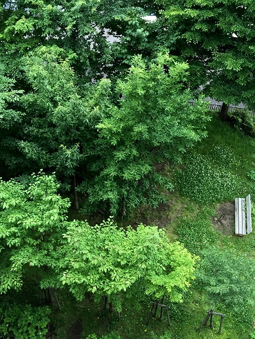 c0028304_18595791.jpg