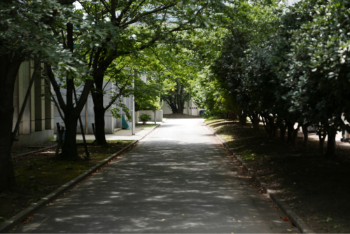 d0147406_18273559.jpg