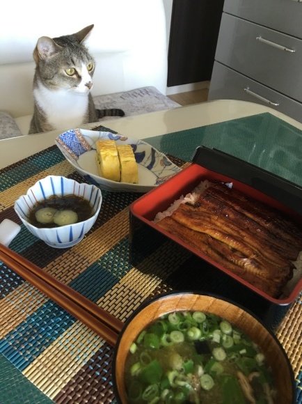 c0109109_11594967.jpeg