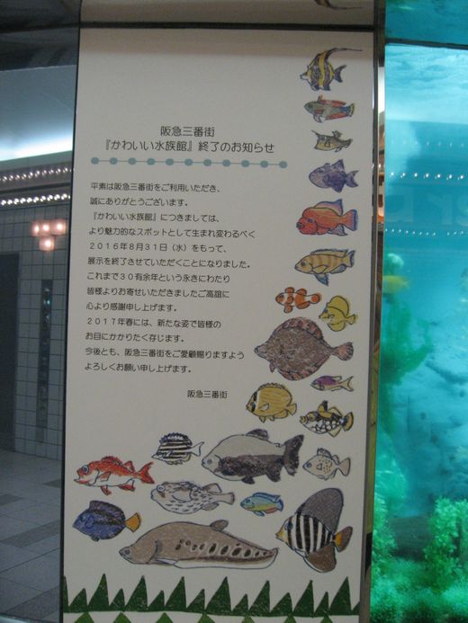 c0062511_21402998.jpg