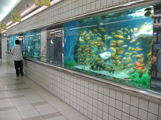 c0062511_2147114.jpg