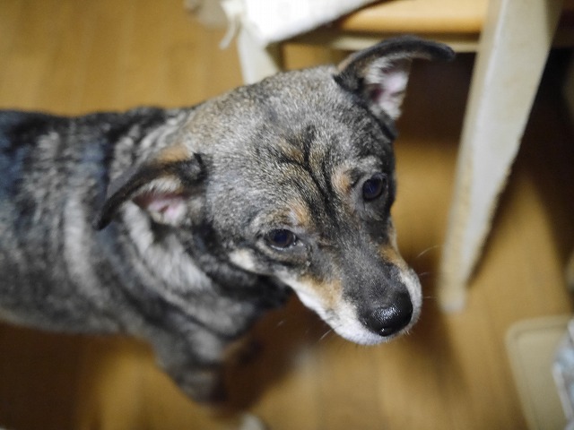f0282319_68888.jpg