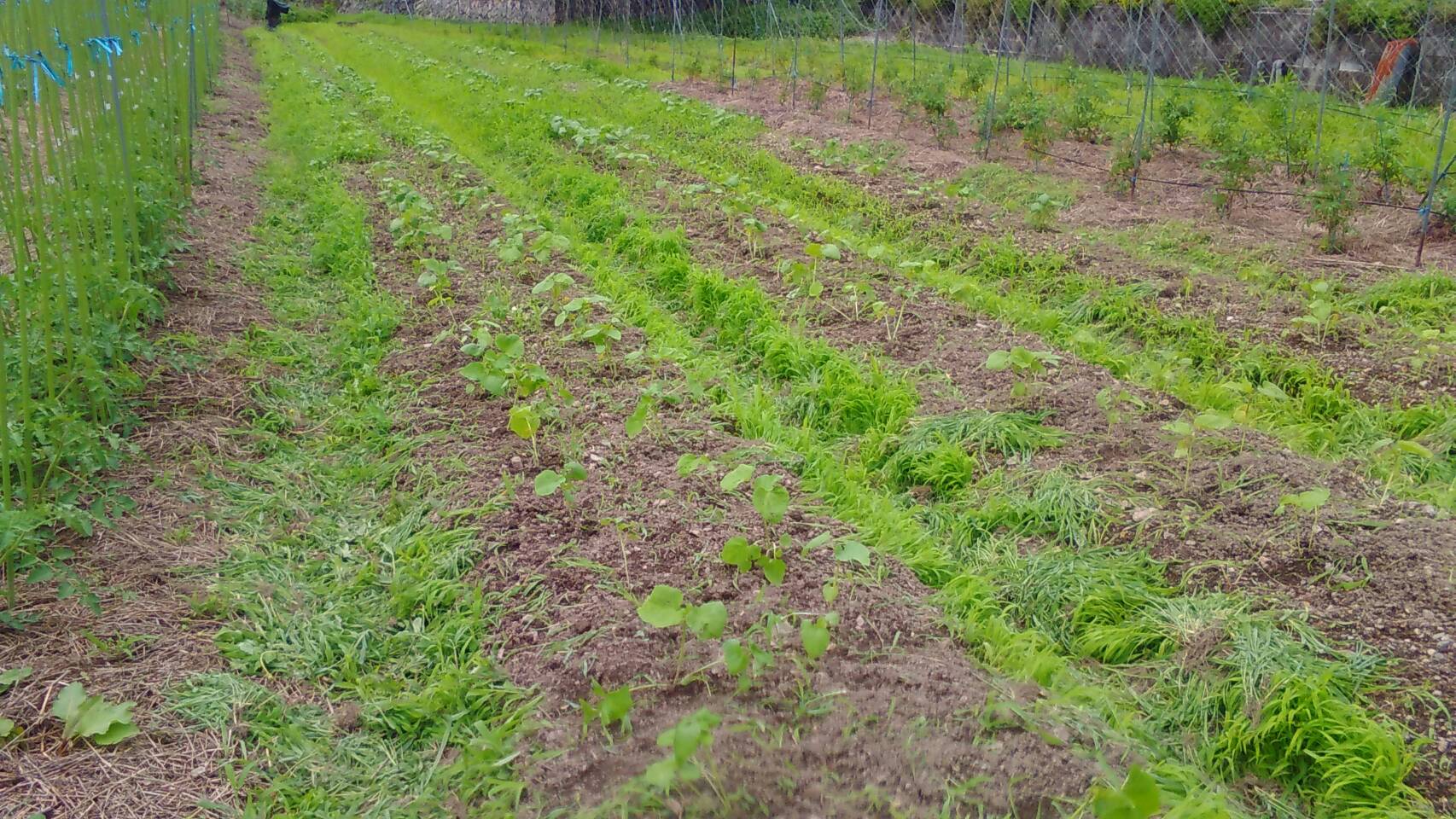 f0142721_0573680.jpg