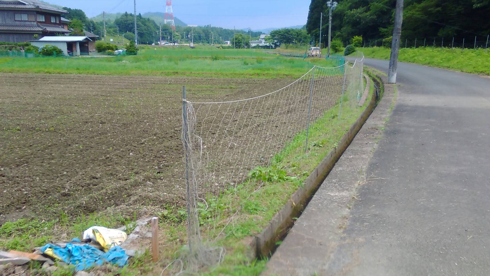 f0142721_105898.jpg