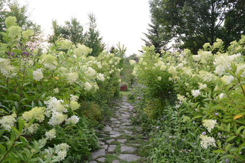 c0107129_21103229.jpg