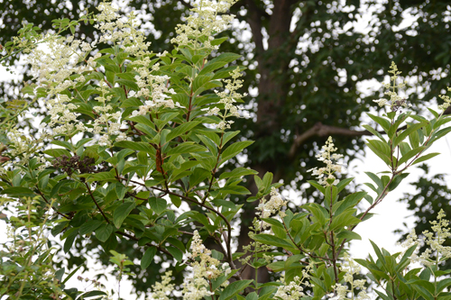 c0107129_2111124.jpg