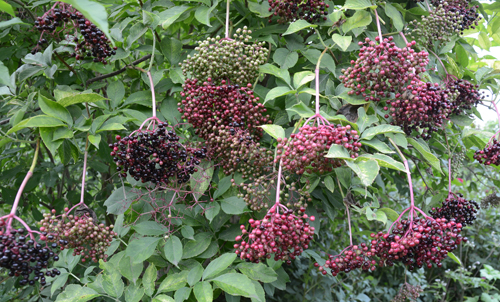 c0107129_21115023.jpg