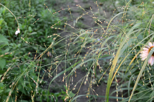 c0107129_21124027.jpg