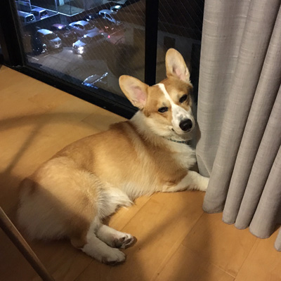 睡眠自由スタイル_f0035333_9262462.jpg