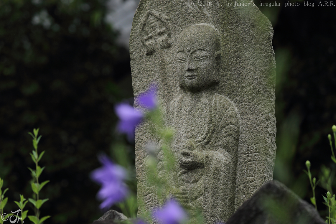 梅雨の寺巡り　　－  元興寺  －_a0313234_23412553.jpg