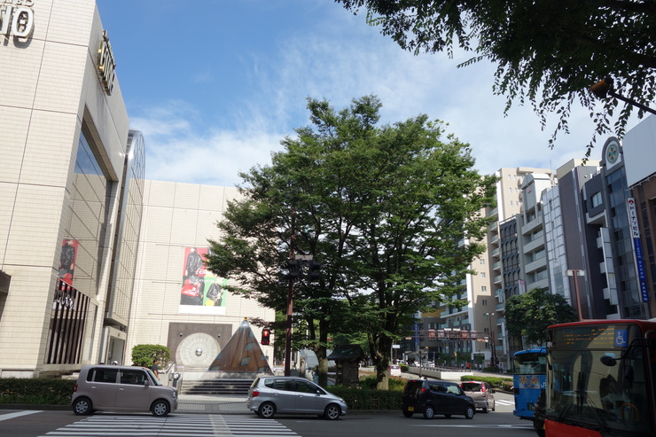 a0287336_2153646.jpg