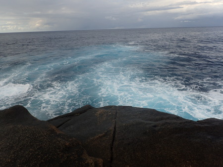 b0193238_838437.jpg