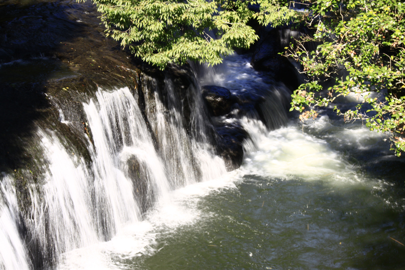 b0016545_14461346.jpg