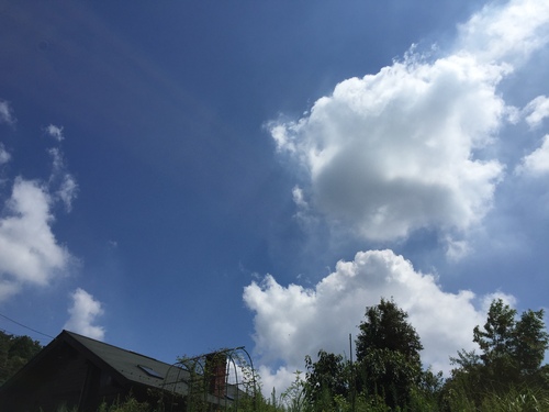 夏ですね~_c0331145_19483921.jpg