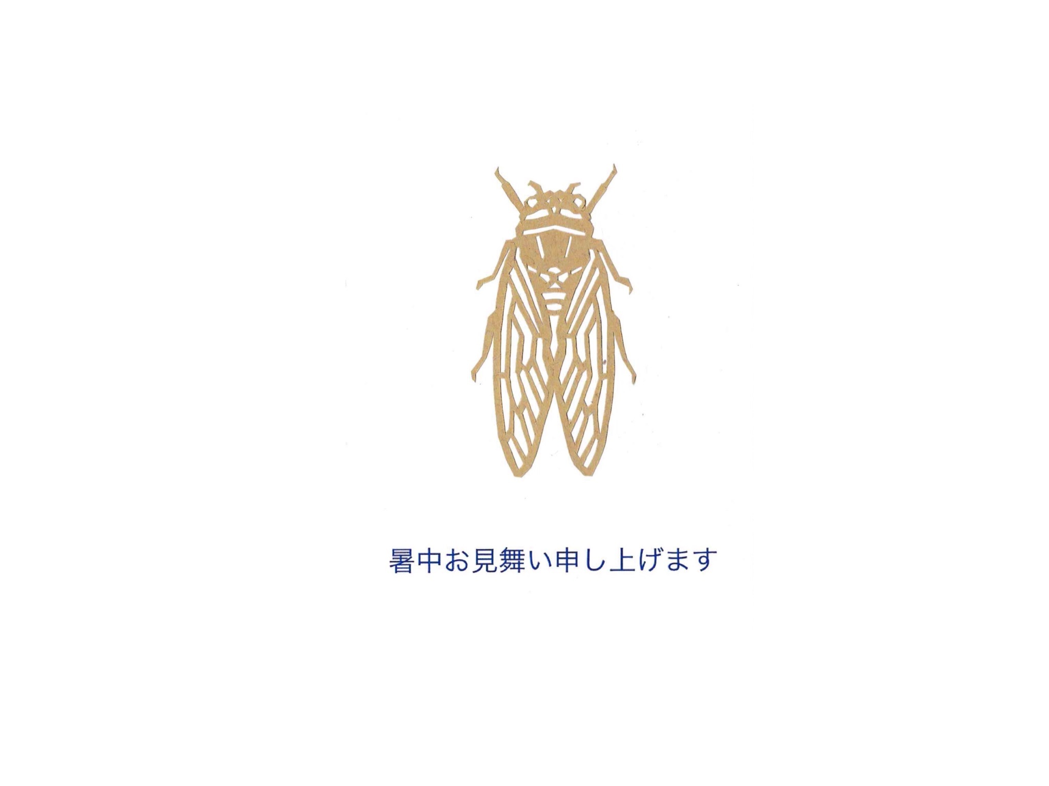 暑中お見舞い申し上げます_d0101846_06105602.jpg