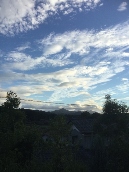 d0337446_20235178.jpeg