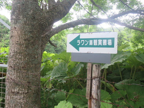 f0202151_14113811.jpg