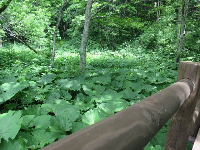 f0202151_1423738.jpg