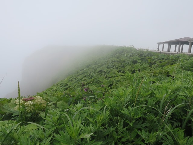 f0202151_14475.jpg
