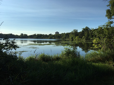 c0242063_416158.jpg