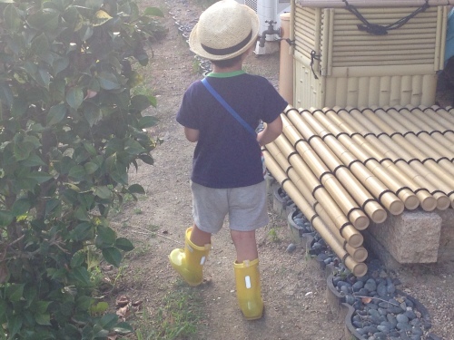夏休み_c0331864_13574600.jpeg