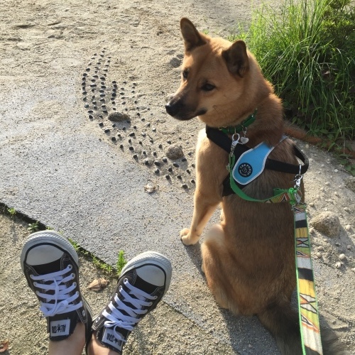 c0364176_06143181.jpeg