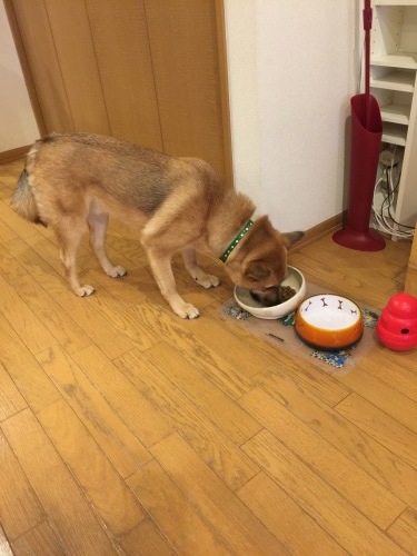 c0364176_06192269.jpeg