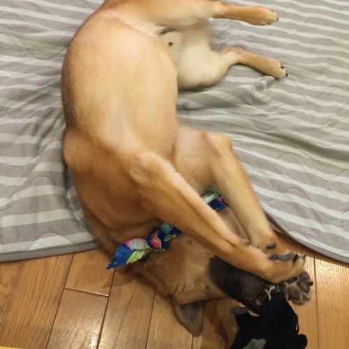 c0364176_06204624.jpeg