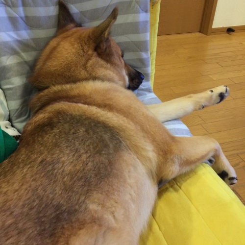 c0364176_06220598.jpeg