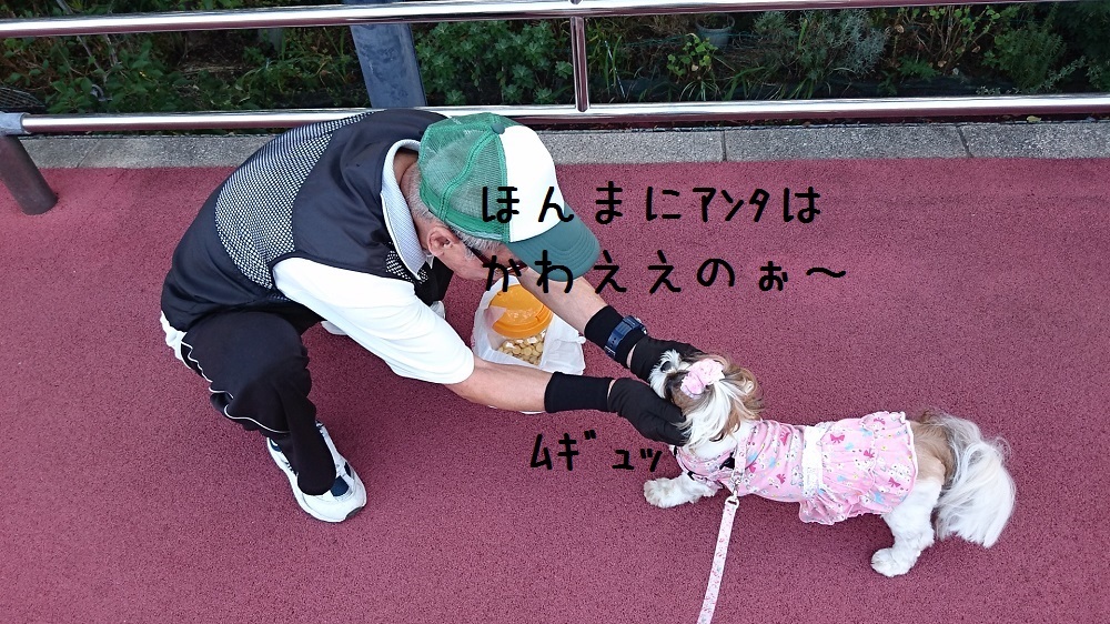 7月31日の写真だけ日記_c0363378_13183620.jpg