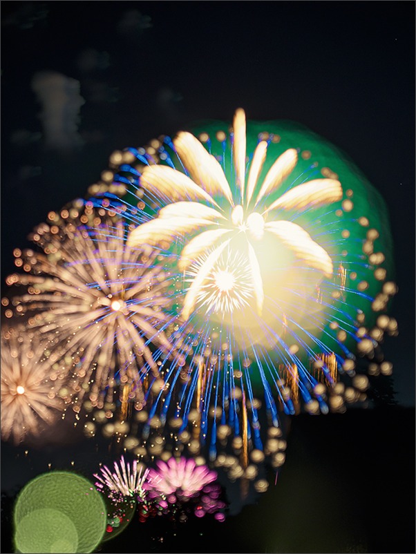 昭和記念公園*花火_a0161380_10125761.jpg