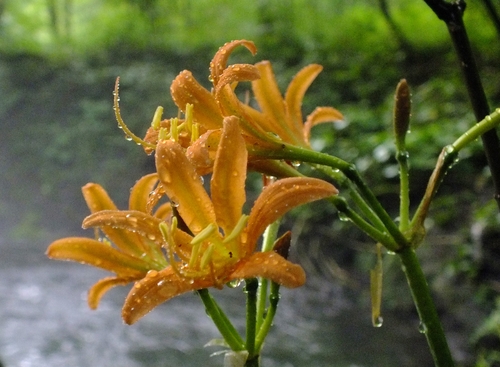 f0082181_10328.jpg