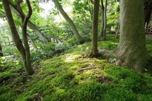 c0324382_20220207.jpg