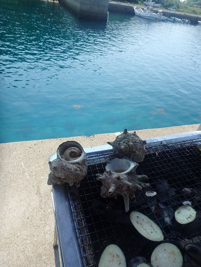 長崎の海で大きなサザエ_d0195183_137483.jpg