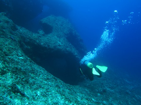 宮古島・サンゴ＆地形編_c0018489_23405539.jpg