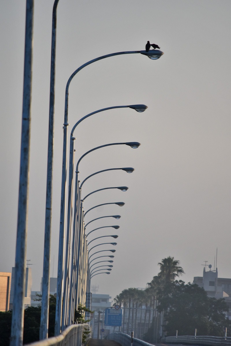 c0049299_235290.jpg