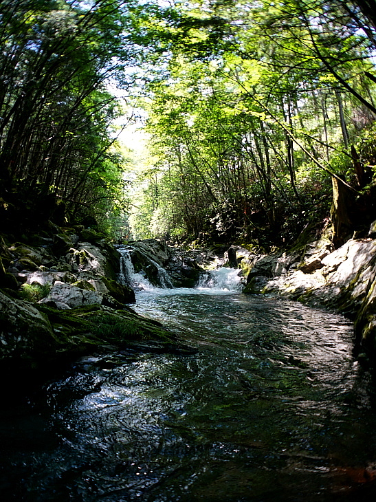 c0339900_15592915.jpg