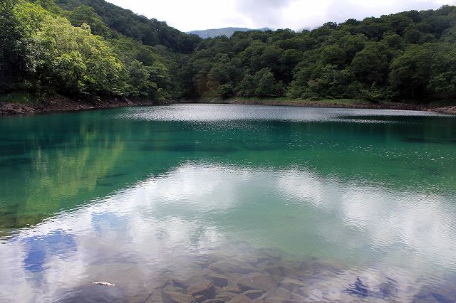 東成瀬三合目からツブ沼へ_e0137200_205671.jpg