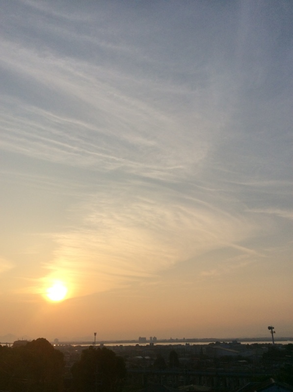 b0220002_21421579.jpeg