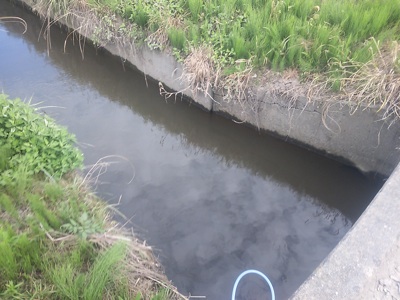 f0082402_21324763.jpg