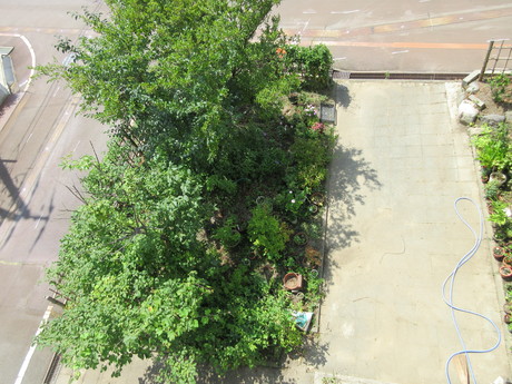 a0203003_11204356.jpg