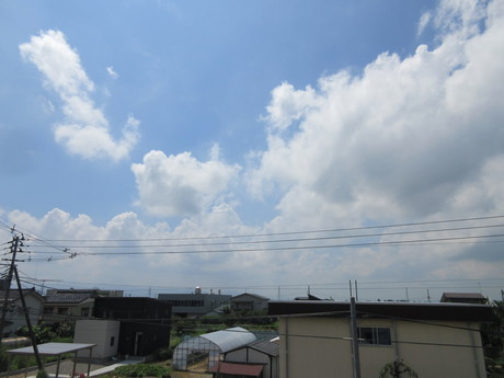 a0203003_11344779.jpg
