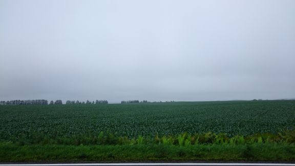 b0172805_917675.jpg
