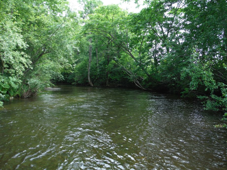 b0172805_9412590.jpg